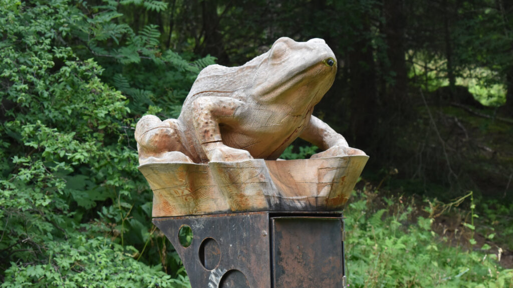 grenouille bois sculpture