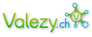 valezy logo